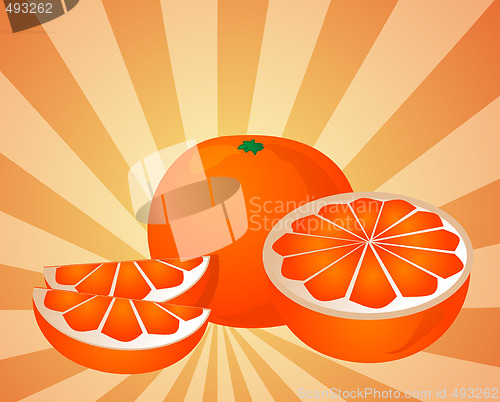 Image of Orange sections illustration