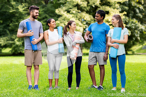 Image of group of happy people with yoga mats at park