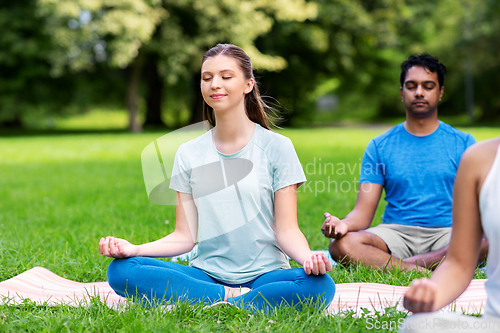 Image of group of happy people doing yoga at summer park