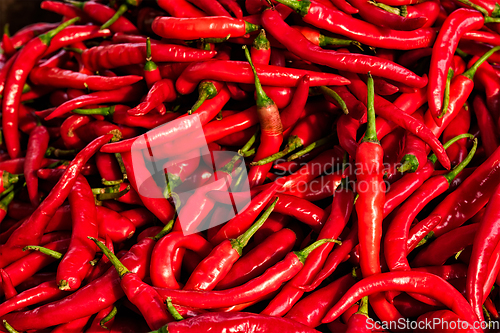 Image of Red spicy chili peppers