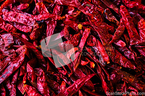 Image of Red spicy chili peppers