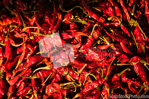 Image of Red spicy chili peppers