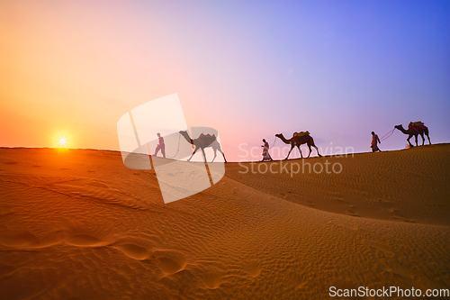 Image of Indian cameleers camel driver with camel silhouettes in dunes on sunset. Jaisalmer, Rajasthan, India