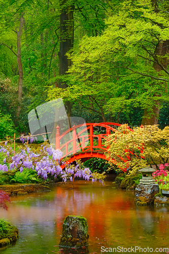 Image of Japanese garden, Park Clingendael, The Hague, Netherlands