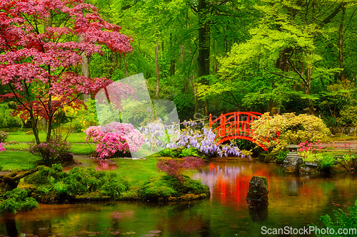 Image of Japanese garden, Park Clingendael, The Hague, Netherlands