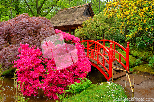 Image of Japanese garden, Park Clingendael, The Hague, Netherlands