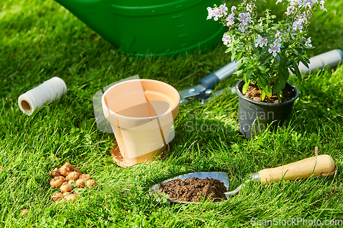 Image of watering can, garden tools and flower at summer