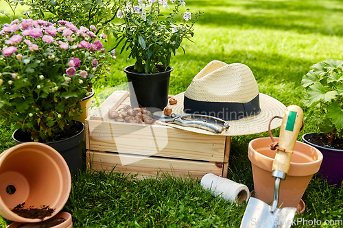 Image of garden tools, wooden box and flowers at summer