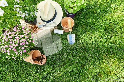 Image of garden tools, wooden box and flowers at summer