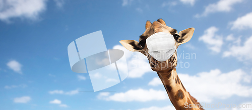 Image of giraffe in medical mask over sky