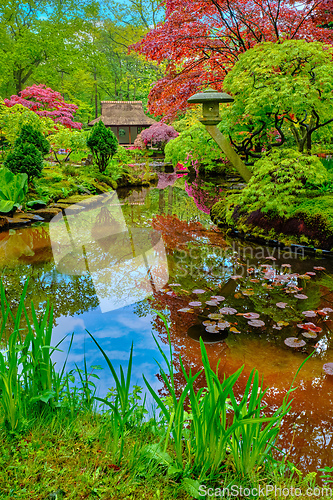 Image of Japanese garden, Park Clingendael, The Hague, Netherlands