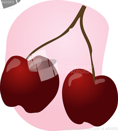 Image of Cherries fruit illustration