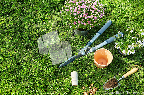 Image of garden tools, flower pot and bulbs on grass