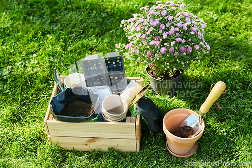 Image of garden tools in wooden box and flowers at summer