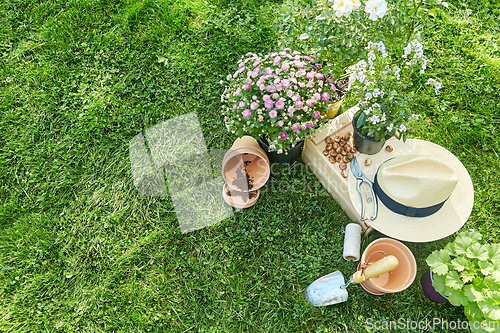 Image of garden tools, wooden box and flowers at summer