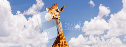 Image of giraffe in medical mask over sky