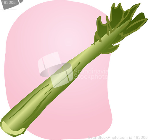 Image of Celery illustration
