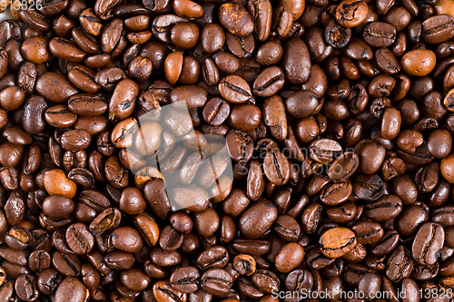 Image of Coffee bean