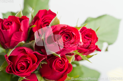 Image of bouquet fresh red roses