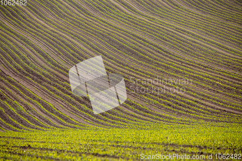 Image of spring plowed field curves