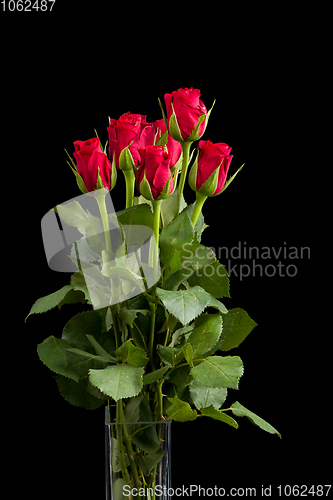 Image of bouquet fresh red roses