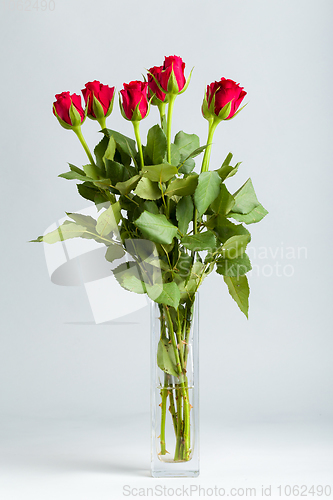 Image of bouquet fresh red roses