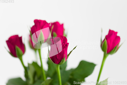 Image of bouquet fresh red roses