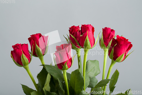 Image of bouquet fresh red roses