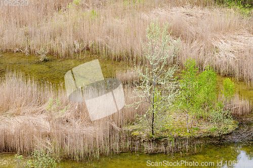 Image of abandoned flooded quarry, Czech republic