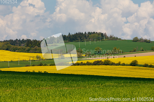 Image of Beautiful rape field spring rural landscape