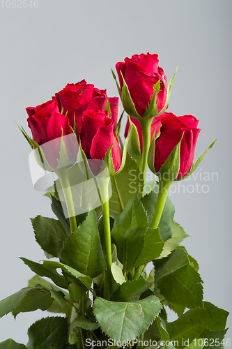 Image of bouquet fresh red roses