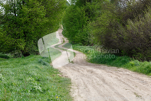 Image of countryside rural forest path