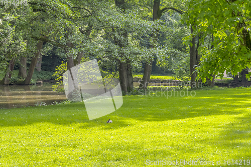 Image of idyllic park scenery