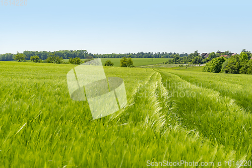 Image of rural springtime scenery