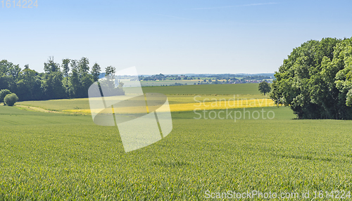 Image of rural scenery in Hohenlohe