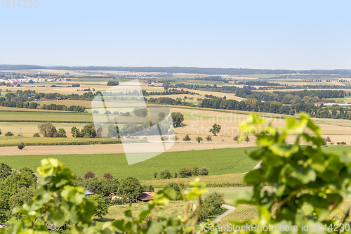 Image of winegrowing scenery in Hohenlohe