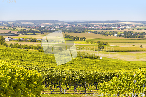 Image of winegrowing scenery in Hohenlohe