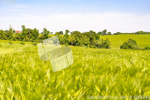 Image of rural landscape at spring time