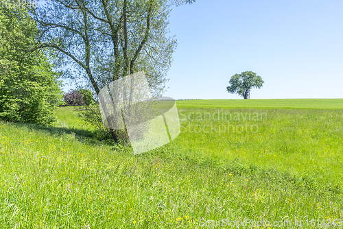 Image of idyllic spring time scenery