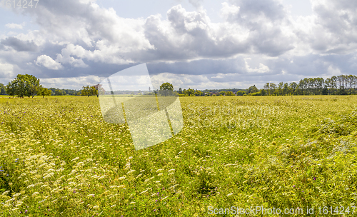 Image of rural scenery in Hohenlohe