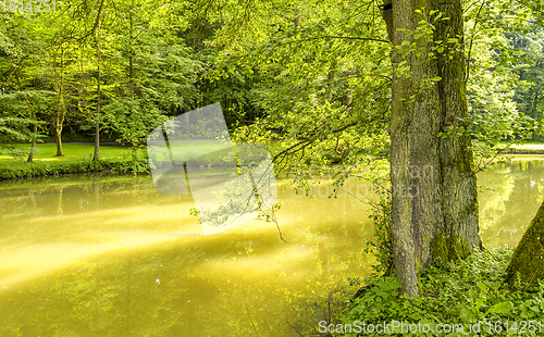 Image of idyllic park scenery