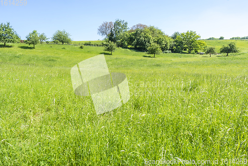 Image of idyllic spring time scenery