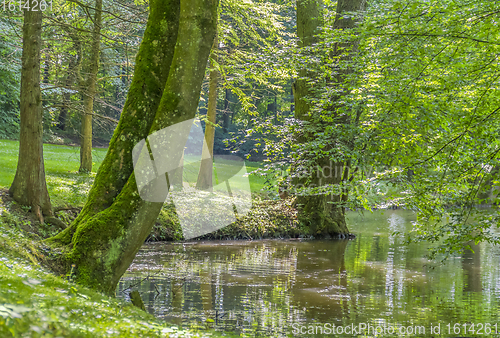 Image of idyllic park scenery