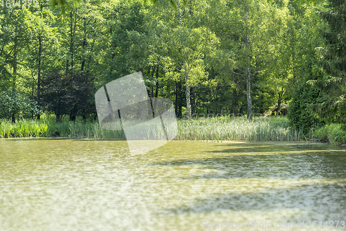 Image of sunny lake scenery