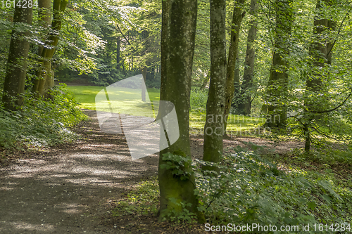 Image of idyllic park scenery