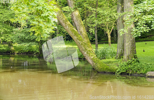 Image of idyllic park scenery