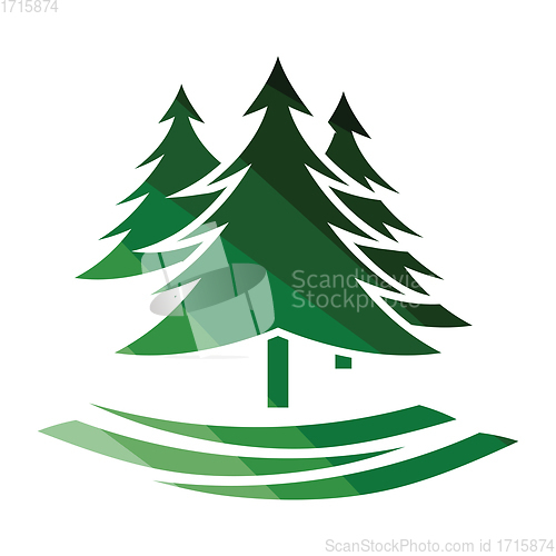 Image of Fir forest  icon