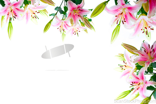 Image of lily flowers composition frame