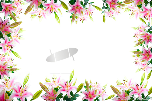 Image of lily flowers composition frame