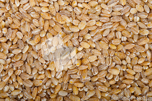 Image of organic barley grains